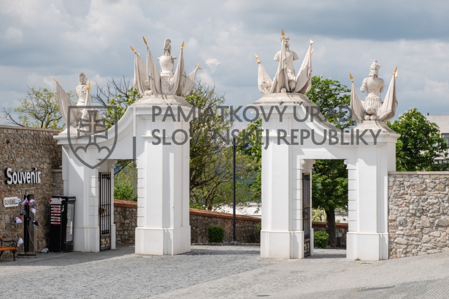 Identifikačná fotografia